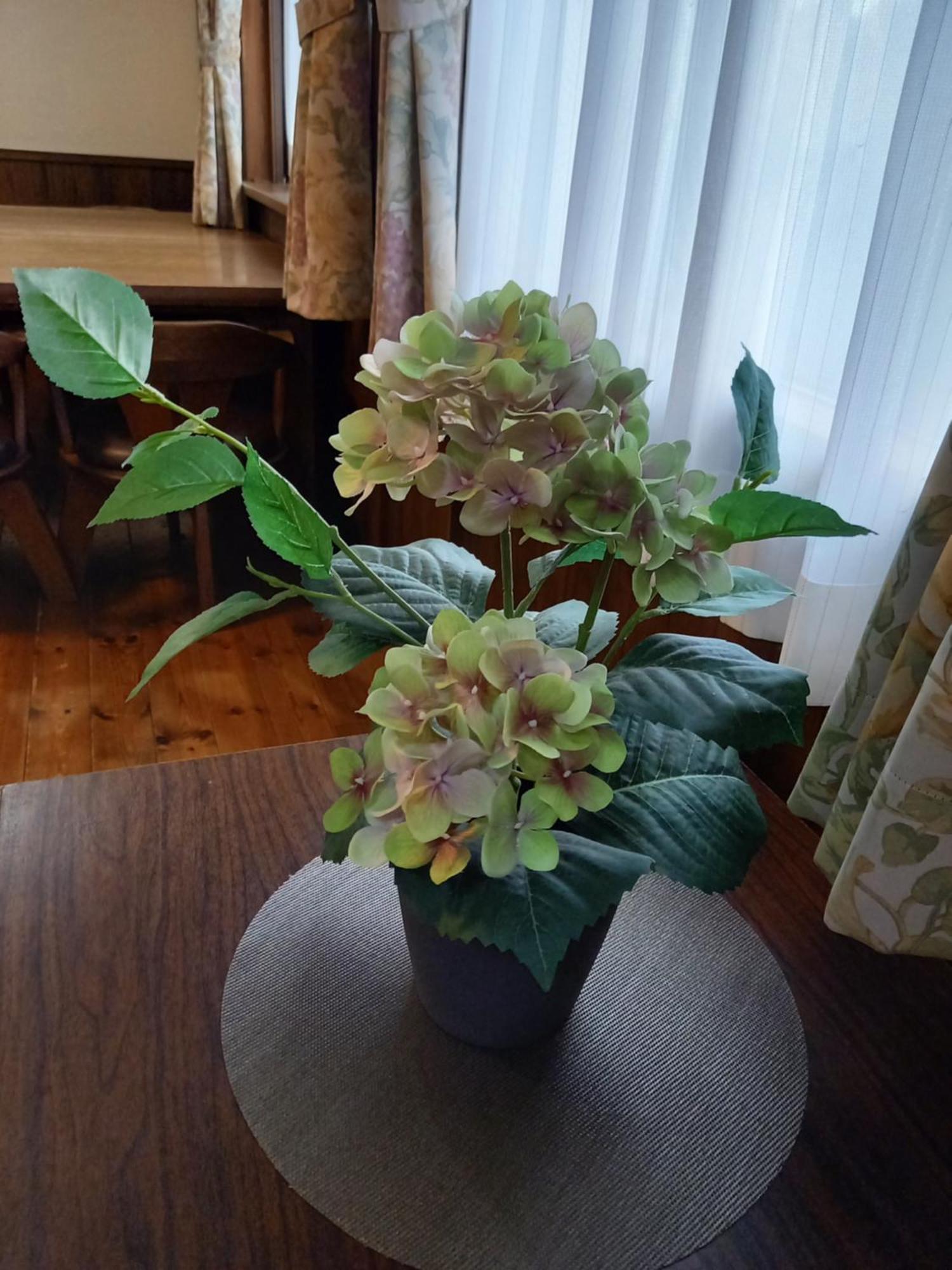 Hakuba Powder Lodge Taketombo 외부 사진